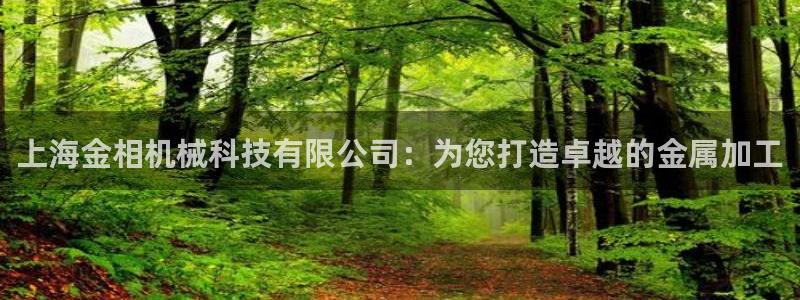 鸿运国际是什么游戏平台