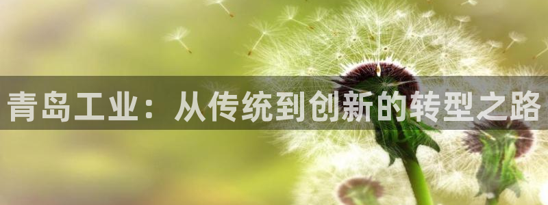 鸿运投资平台客服电话