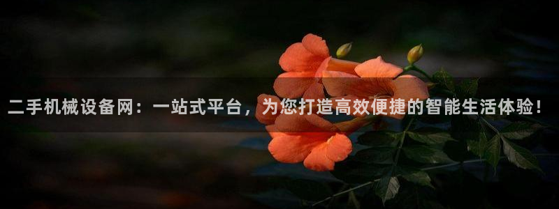 香港鸿运投资平台