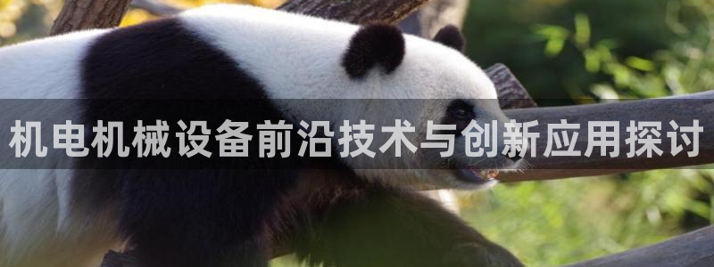 鸿运矿机平台