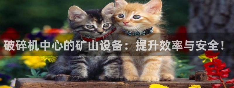 中国鸿运是什么平台