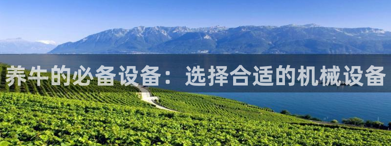 鸿运商城珠宝平台