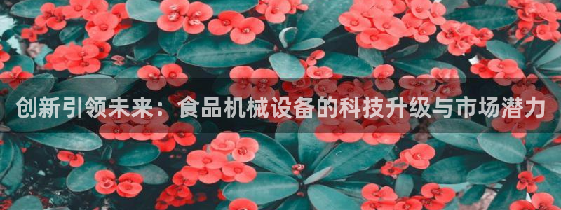 鸿运六月直播平台