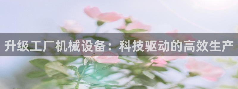 鸿运平台鸿