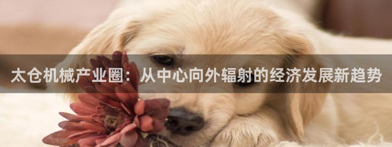 鸿运外汇平台