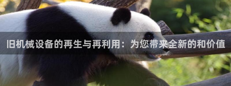鸿运合拍字画拍卖平台