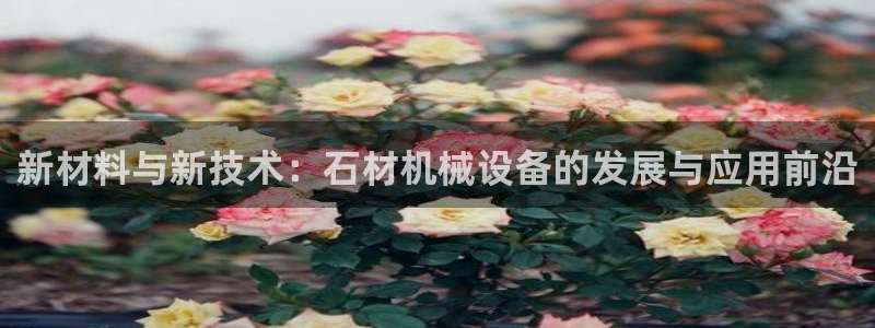 鸿运网平台是什么