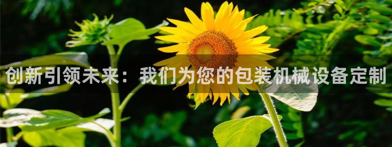 琥珀鸿运是怎样的平台