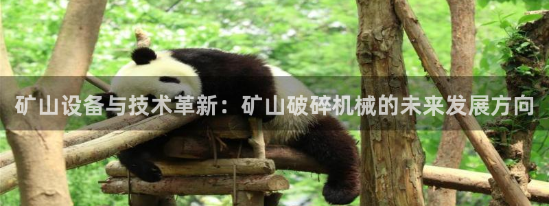 鸿运锦囊是什么平台