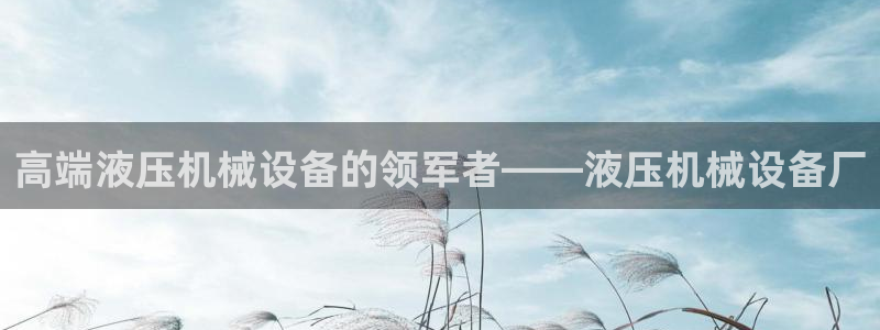 鸿运寄卖回收平台