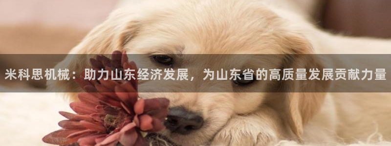 鸿运农场直播平台
