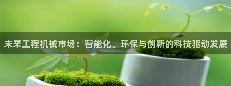鸿运代拍平台