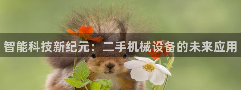 鸿运直播平台