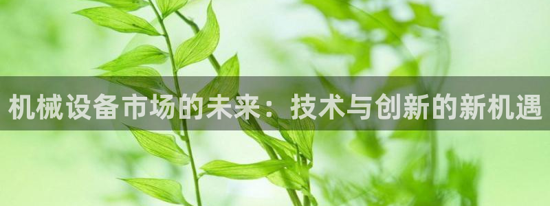 鸿运防水服务平台