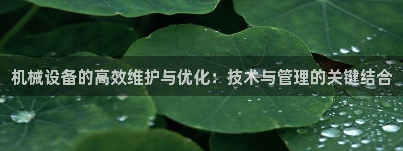 鸿运牛牛投注平台开户