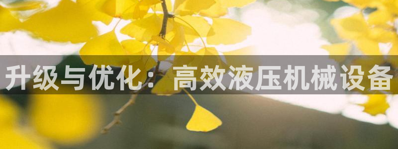 鸿运达交易拍卖平台