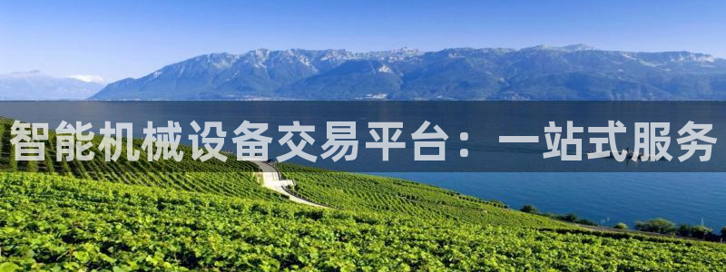 鸿运网是什么平台