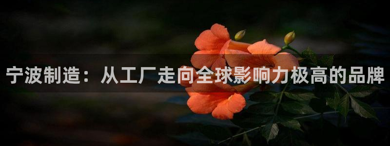 鸿运棋牌app游戏平台