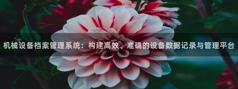 东方阿保鸿运购物平台