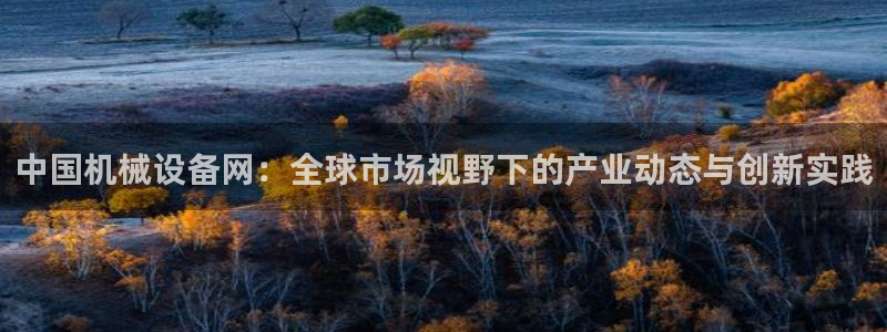 鸿运彩票平台登录不了