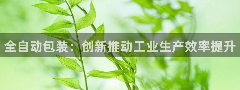 焦作鸿运招人信息平台