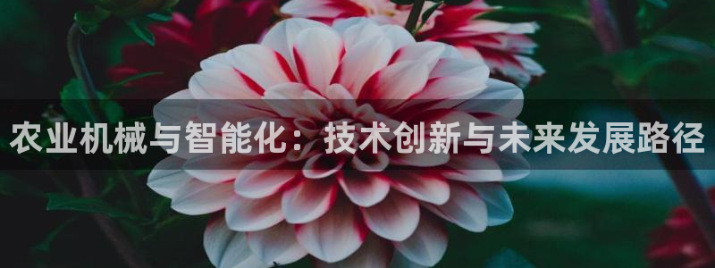 鸿运到平台在线客服