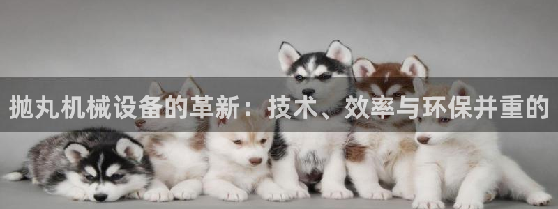 焦作鸿运招人信息平台