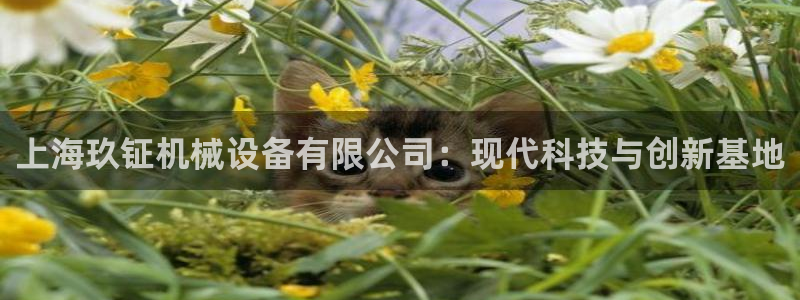 鸿运国际彩票平台