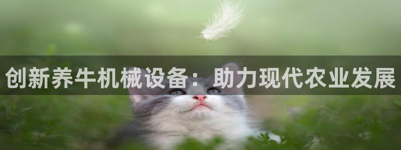 怎么进鸿运彩票平台