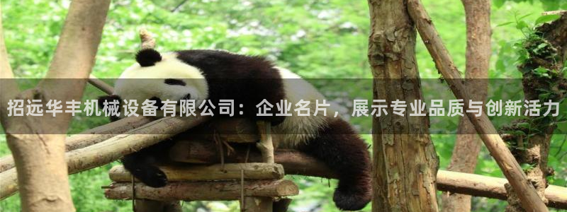 鸿运仓储直播平台