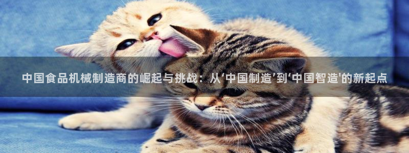 鸿运购是什么平台