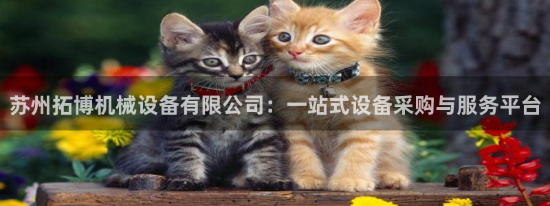 鸿运最新平台是什么