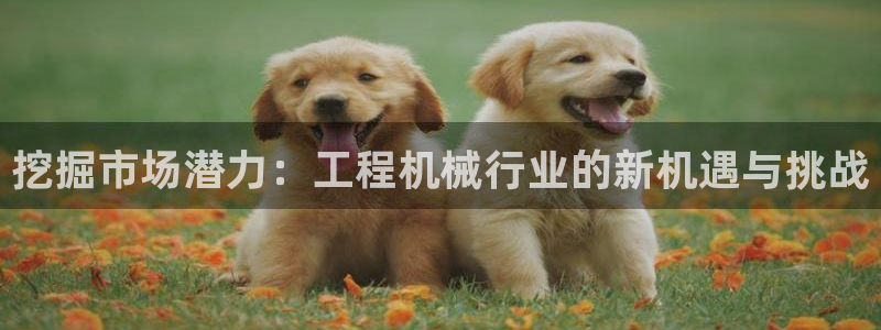 琥珀鸿运平台登录页面