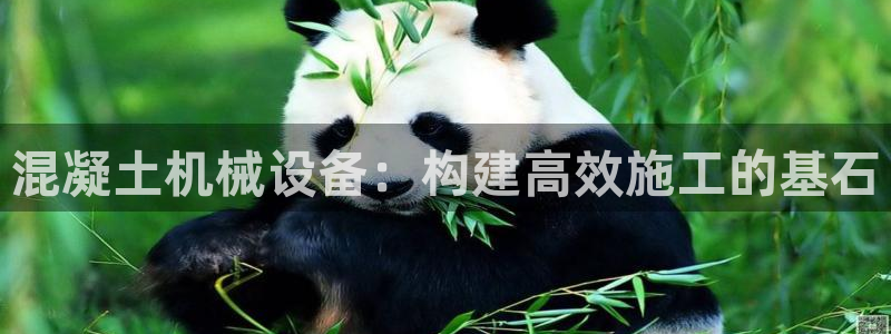 鸿运体育在线平台