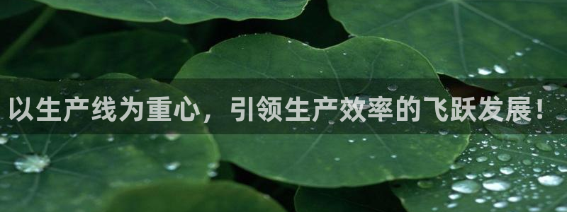 鸿运彩票专业购采平台