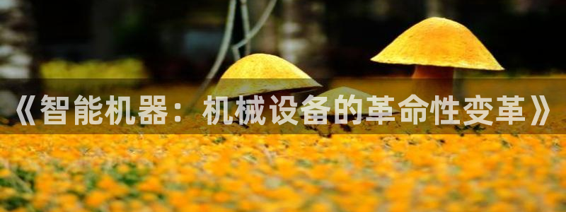 鸿运汽车团购平台