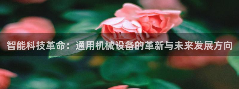 鸿运策略股票平台