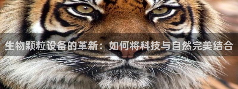 鸿运链锁管理平台