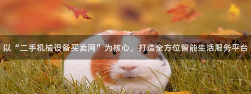 双平台鸿运当头