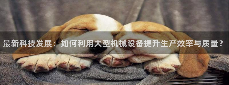 鸿运到平台被骗