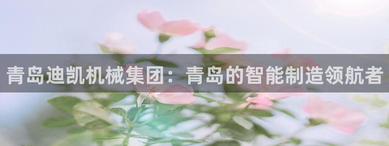 鸿运兄弟创造平台