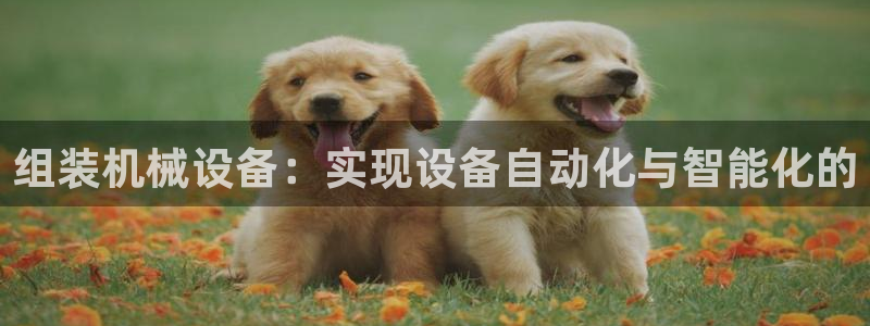 琥珀鸿运平台怎样赚钱的