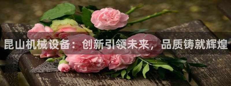 鸿运平台投资诈骗事件