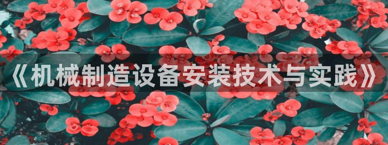 大发鸿运彩票平台