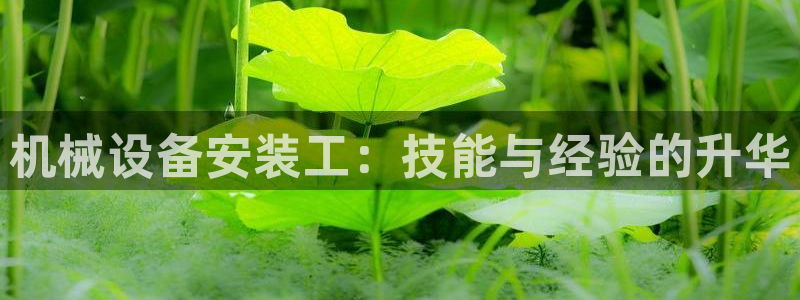 鸿运购彩平台app