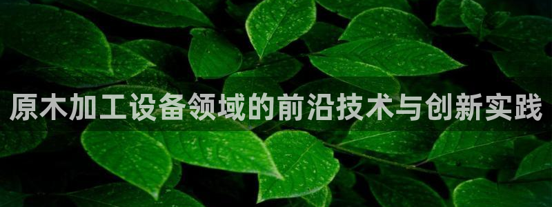 鸿运美食团购平台