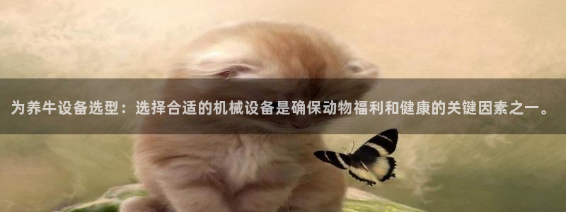 李鸿运开直播平台