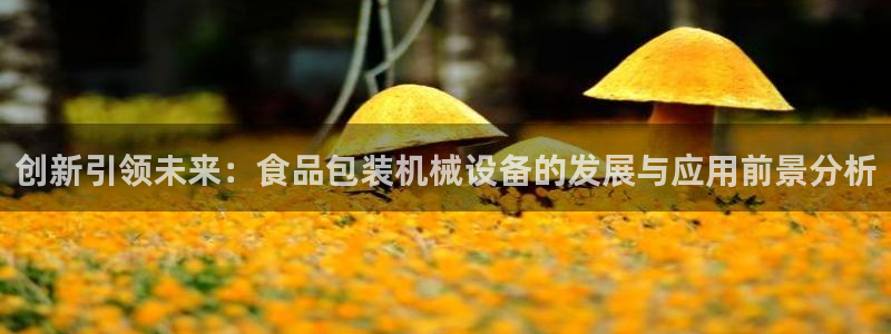 鸿运锦囊是什么平台