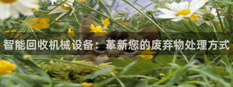 鸿运卡盟登录平台